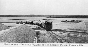 Train Salinas